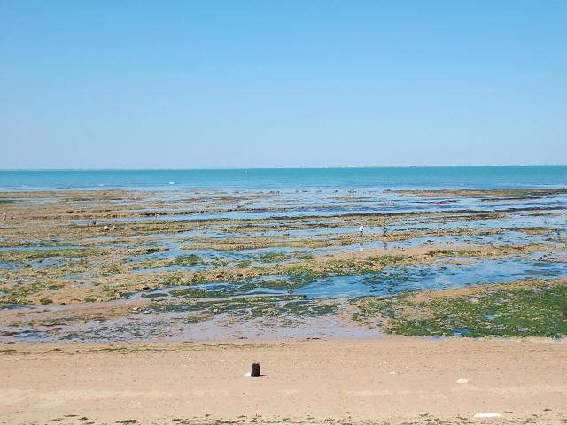 Frankreich_09 (81)
