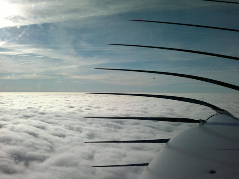 Herbstflug