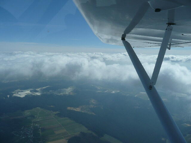 Osterflug-Weiden (3)